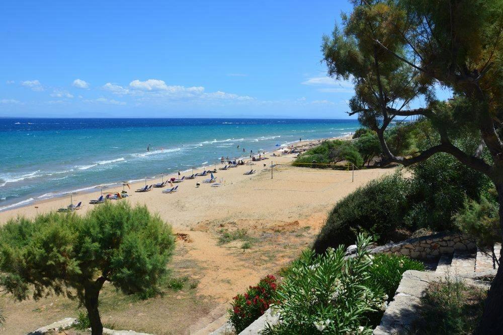 Stamiris Beach Hotel Vasilikí Eksteriør billede