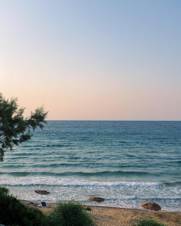 Stamiris Beach Hotel Vasilikí Eksteriør billede